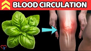 TOP 7 HELPFUL Tips To Enhance Blood Circulation IN YOUR LEGS After 50  Vitality Solutions [upl. by Bonacci262]