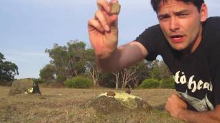 Teil 16  10 Things You Can Do With Wombat Poo Gewinnspiel  Kiwispotting Vlog [upl. by Retluoc]