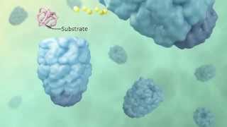 Active Cage Mechanism of ChaperoninAssisted Protein Folding Demonstrated at SingleMolecule Level [upl. by Hosbein]