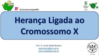 Genética EMENEM Herança Ligada ao X 08 [upl. by Esenej]