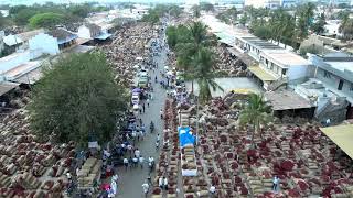 Byadgi Chilli Market [upl. by Erdied]