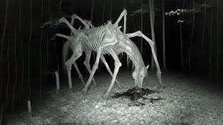 CREEPIEST THINGS CAUGHT ON TRAIL CAMERA [upl. by Auohp]