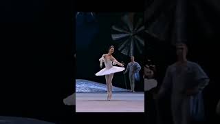 🌹The Nutcracker🌹quotEl CascanuecesquotBallet de Piotr Tchaikovsky [upl. by Peterman741]