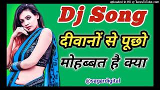 Deewano Se Pucho Mohabbat Kya Dj Song  Hindi Song Dj Remix 2024 [upl. by Airdnal]