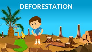 Deforestation  Causes Effects amp Solutions  Video for Kids [upl. by Curzon]