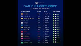 Crypto Prices Nov 11 2024 [upl. by Middlesworth885]