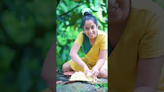 Yummy 😋 Masala Jackfruit Cutting And Eating  कटहल  පැණි වරකා [upl. by Kort730]