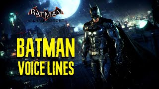 Batman Arkham Knight  Batman Voice Lines [upl. by Yeldarb]