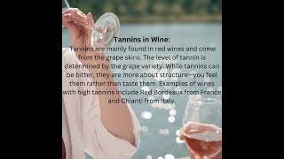 Wine Basics Decode Acidity Tannins and Body like a Pro [upl. by Lunt]