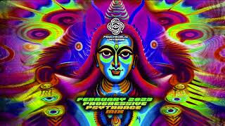 February 2023 Progressive Psytrance DJ Mix [upl. by Cally177]