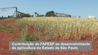 Contribuição da FAPESP ao desenvolvimento da agricultura no Estado de São Paulo [upl. by Dickinson]