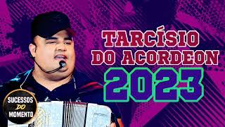 TARCÍSIO DO ACORDEON REPERTÓRIO NOVO OUTUBRO 2023 [upl. by Nwahsyd]