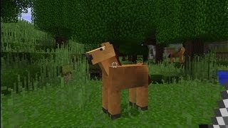 Minecraft Mods 5 MoCreatures 172 PL [upl. by Eilojne]