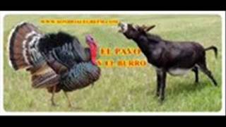 LOS HIJOS DEL REY EL BURRO Y EL PAVOwmv [upl. by Laddy]