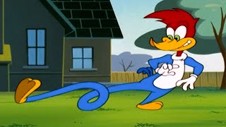 Woodys New Super Powers  1 Hour of Woody Woodpecker Full Episodes [upl. by Lumpkin]