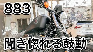 【ハーレー883IRON】883nアイアン ハーレーダビッドソンシティ川越店にて試乗させていただいたので883n アイアンをご紹介します♫harley davidson XL883 IRON [upl. by Enaht740]