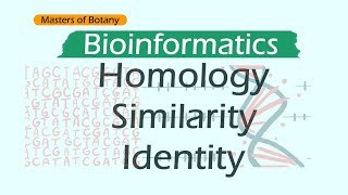 Homology Similarity and Identity  Bioinformatics [upl. by Mose]