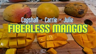 Cutting Open FIBERLESS Mangos [upl. by Carrillo123]