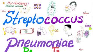 Streptococcus pneumoniae  Diagnosis amp Treatment  Microbiology 🧫 amp Infectious Diseases 🦠 [upl. by Nod229]