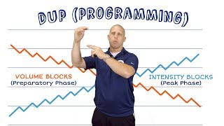 Daily Undulating Programming  How To Programme Your Training With Reps Volume and Intensity [upl. by Meaghan]