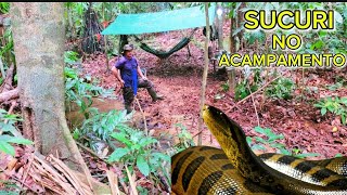 Acampamento selvagem explorando a selva e deparei com uma sucuri gigante [upl. by Aivad]