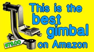 The Neewer gimbal is the best gimbal on Amazon Review and demonstration [upl. by Ylyl]