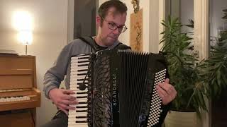 Autumn Leaves  Solo Jazz Accordion [upl. by Hamel]