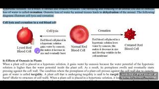 Cell lysis amp crenation [upl. by Edya]