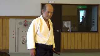 Aikido Shihan Masatomi Ikeda Sensei Summer Tokyo 2013 [upl. by Pollyanna]