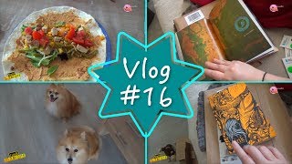 VLOG 16 🎥 CELUI QUI RECOIT QUELQUES PAQUETS  🎥JessLivraddict [upl. by Colin920]