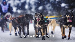 2022 Iditarod Ceremonial Start in Slow Motion [upl. by Rina]