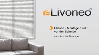 Plissee  Montage direkt vor der Scheibe [upl. by Dygert]