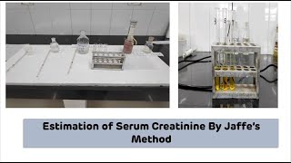 Estimation of Serum Creatinine By Jaffes Method on Colorimeter  Biochemistry Practical [upl. by Hodges9]