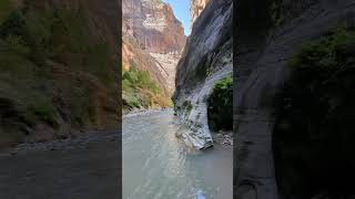 The Narrows Hike in Zion National Park zionnationalpark hikingadventure water hiking [upl. by Ummersen]