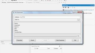 File Downloader in VB net [upl. by Eirrotal]
