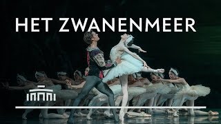 Het Zwanenmeer 2019 trailer  Het Nationale Ballet [upl. by Bourke]