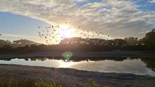 Coffin Bay to Elliston and beyond [upl. by Analaj]