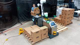 FANUC Collaborative Robot Palletizer  FANUC Cobot  PalletizCRX [upl. by Lowney]