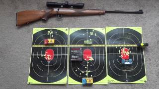 22LR Ammo Range Testing [upl. by Nilecoj]