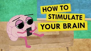 How to Give Your Brain the Stimulation It Needs [upl. by Crain126]