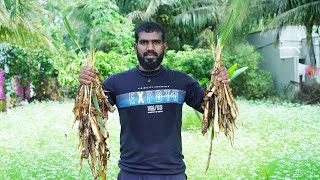 🔥Panang Kilangu  Palmyra sprout   Cook With Tamil Food Vlog [upl. by Mahau]