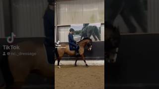 🤩 dressage equestrian dressagelife classicaldressage riding equestrianelegance jumping [upl. by Grail]