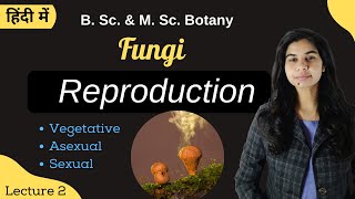 Fungi  Reproduction  in Hindi  Botany  B Sc amp M Sc [upl. by Cho588]