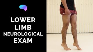 Lower Limb Neurological Examination  OSCE guide old version  UKMLA  CPSA [upl. by Estey]