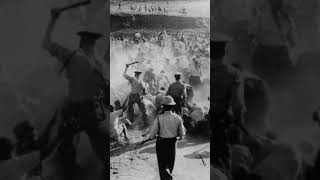 1960  Sharpeville Massacre South Africa historyeducation learning history [upl. by Lrat]