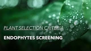 Plant selection criteria for ENDOPHYTES  Msc Microbiology [upl. by Anwadal]