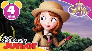 Sofia the First  Royal Vacation  Disney Junior UK [upl. by Eislrahc51]