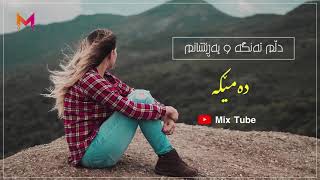 Dlm Tangaw Pareshanm Damika  دڵم تەنگە و پەرێشانم دەمێکە [upl. by Akeemat]