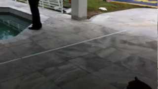 Call today 727 678 4500 HOW TO LAY TRAVERTINE PAVERS AROUND THE POOL DECK [upl. by Noivart]