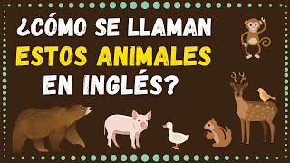 ¿Sabes Los Nombres de LOS ANIMALES en Inglés Prueba de 20 Preguntas [upl. by Temirf386]